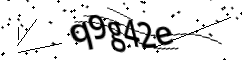 Sicherheitscode *