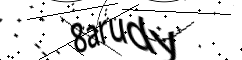 Sicherheitscode *